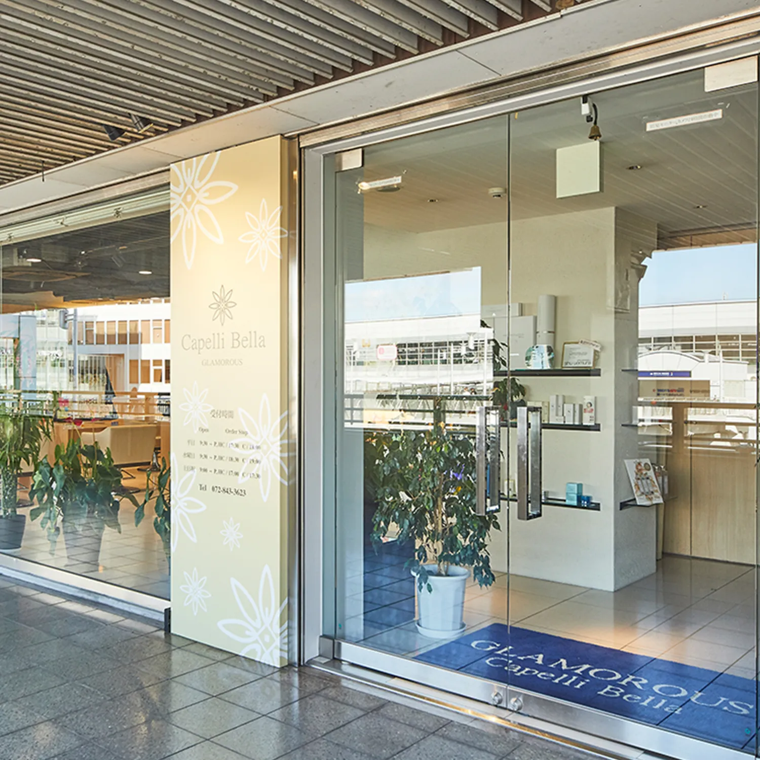 カペリベラ グラマラス